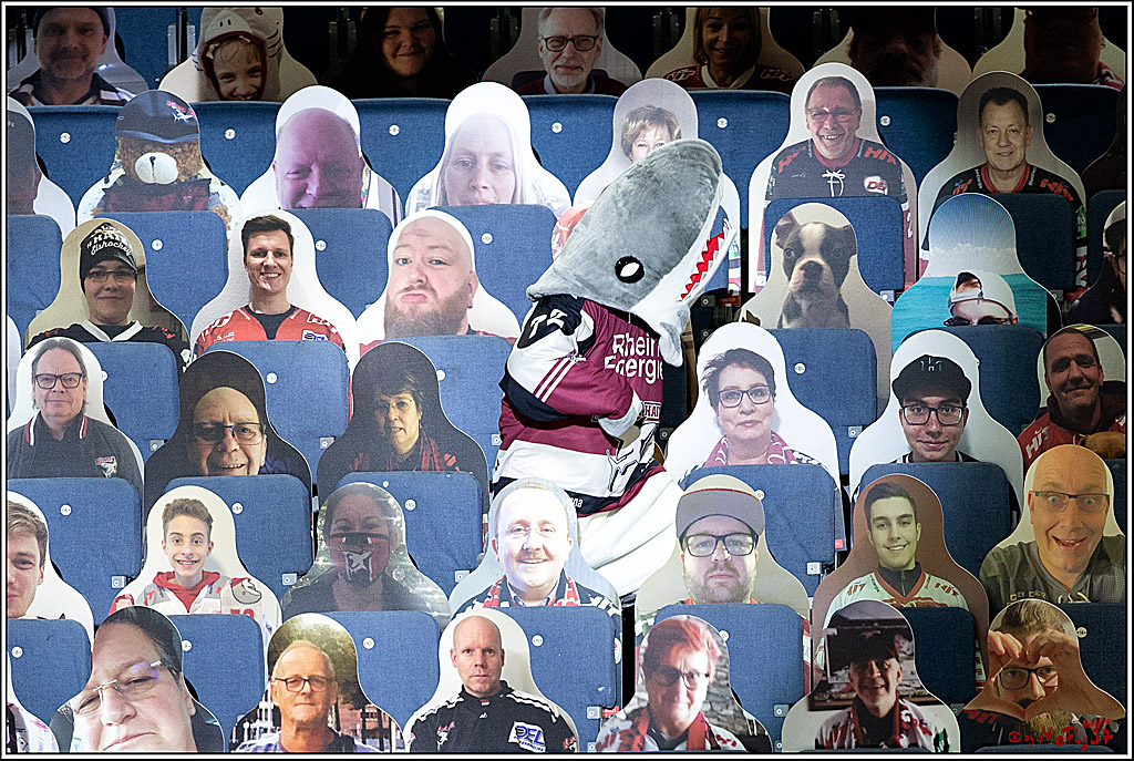 PENNY DEL;  Koelner Haie - Fischtown Pinguins Bremerhaven; Koeln, 12.02.2021